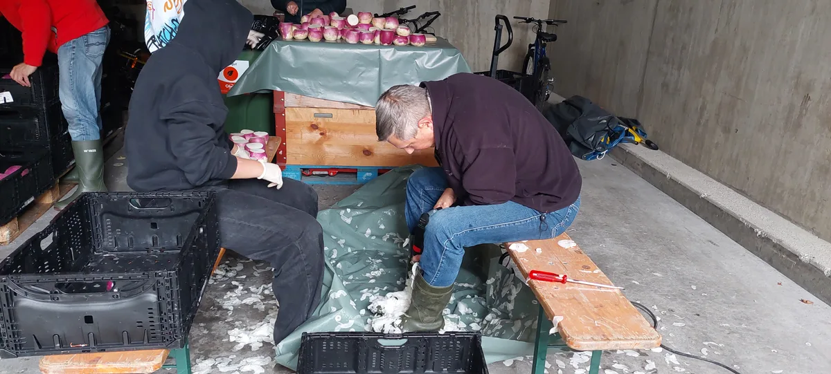 Ueli Diggelmann höhlt Räben aus.